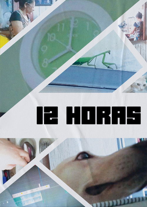 12 Horas