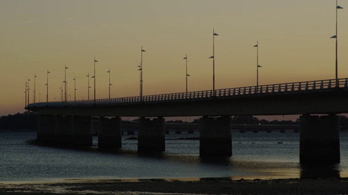 Testemuñas dunha illa