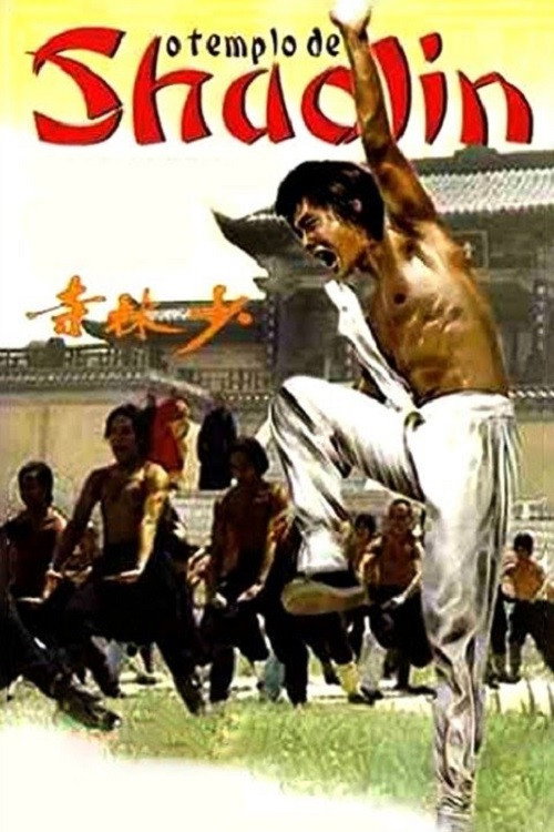 Shaolin Temple poster