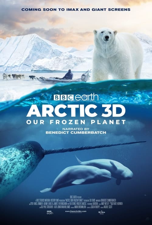 Arctic 3D: Our Frozen Planet Poster