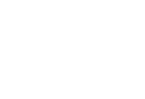 The Vow