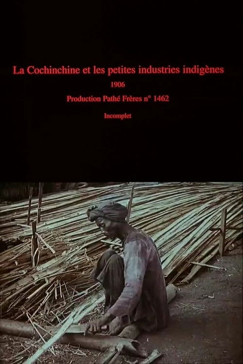 La Cochinchine et les petites industries indigènes