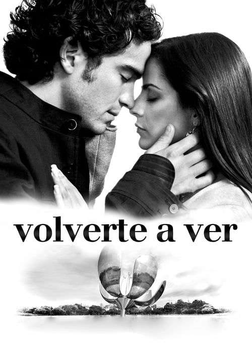 Poster Volverte a ver 2008