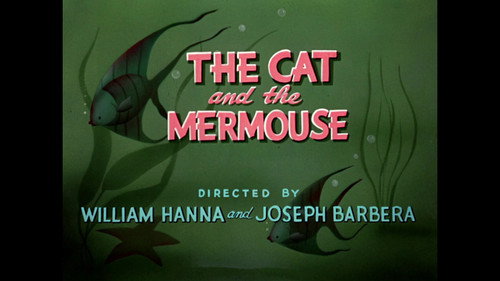 The Cat and The Mermouse