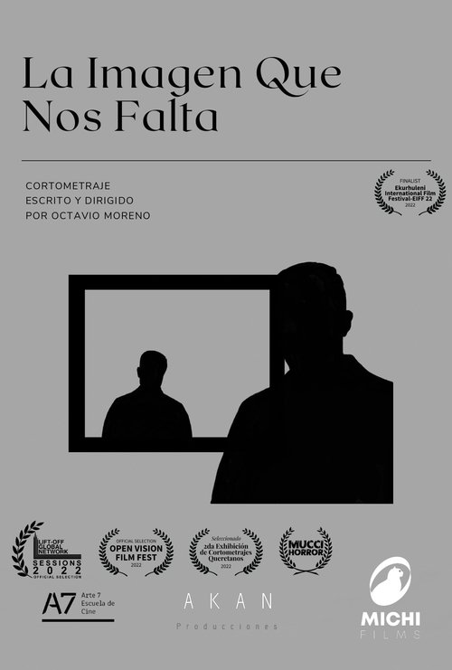 La Imagen Que Nos Falta
