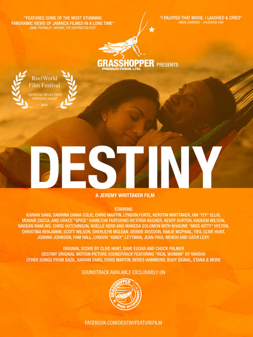 Poster Destiny 2014