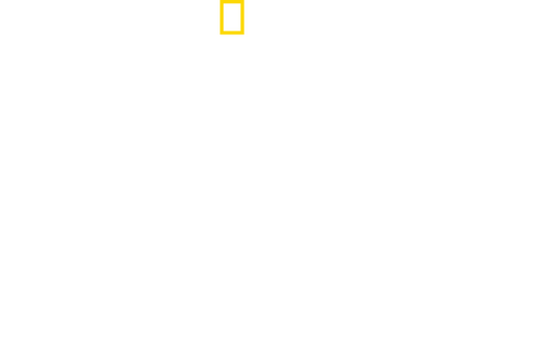 Hitler's Battle Against the Press