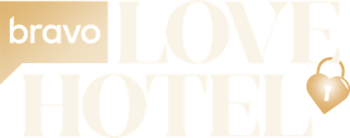 Love Hotel's logo image