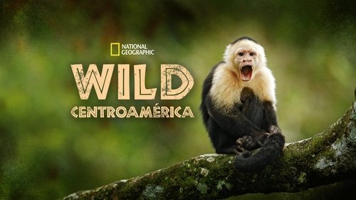 Wild Central America