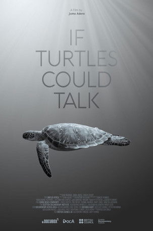 If Turtles Could Talk poster