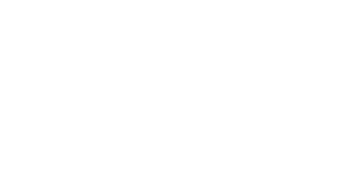 Caminho das Índias - Logo 2