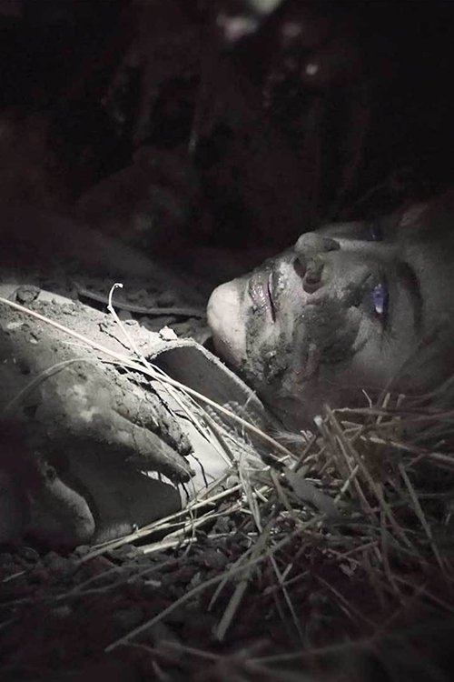 Night Splitter poster