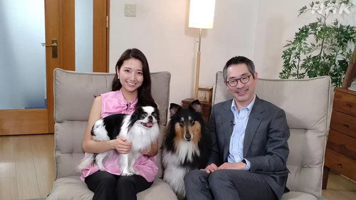 心おどる　犬ワールド - Season 1 Backdrop Blur