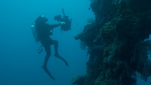 One Strange Rock: 1×8