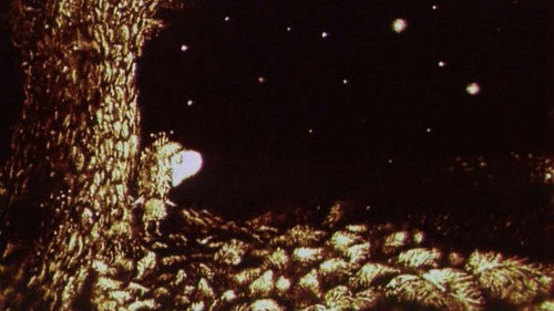 Image du film
