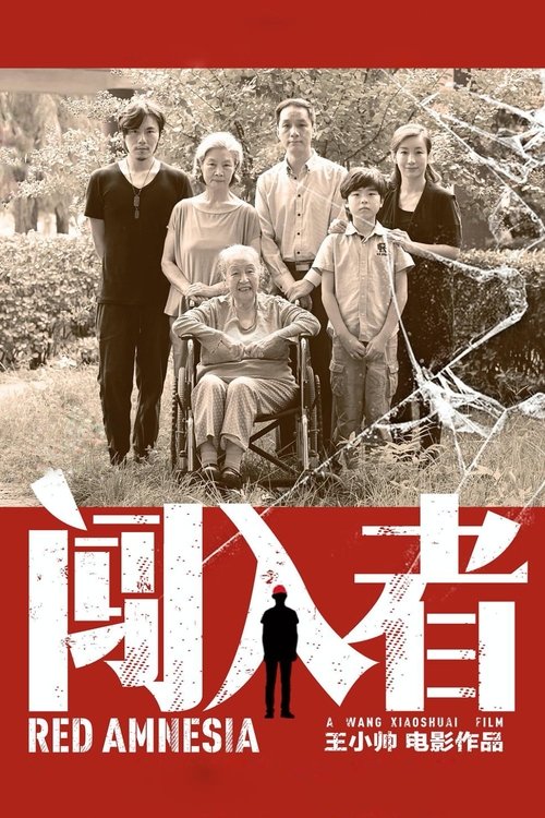 闯入者 movie poster player