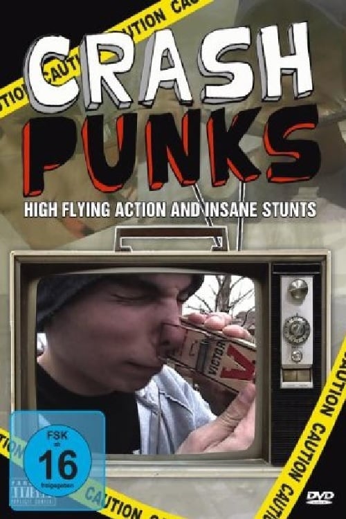Crash Punks 2007