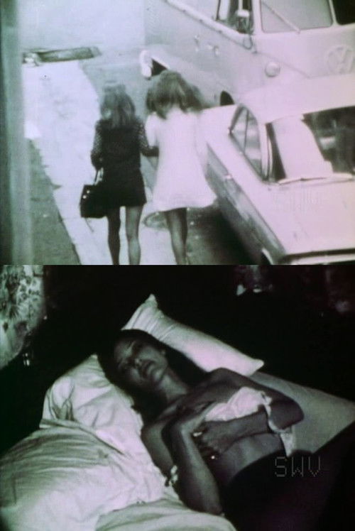 Lesbian Hooker Turns a Trick