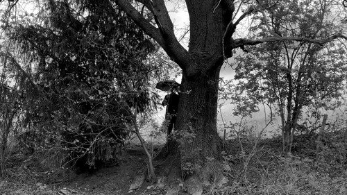 Der Tierfotograf Backdrop Blur