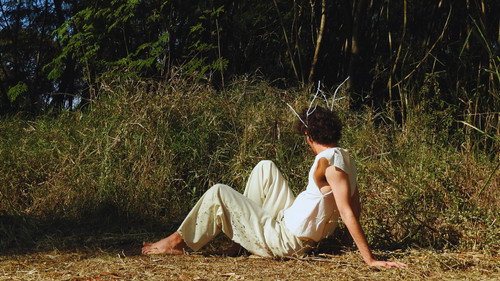 A Crisálida Backdrop Blur