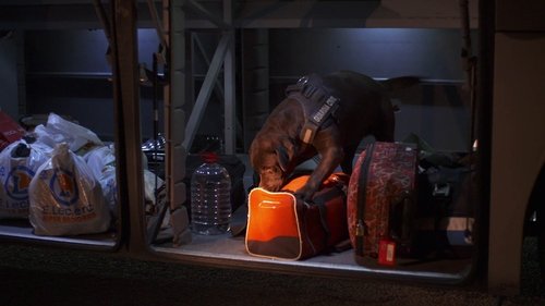 Épisode 16