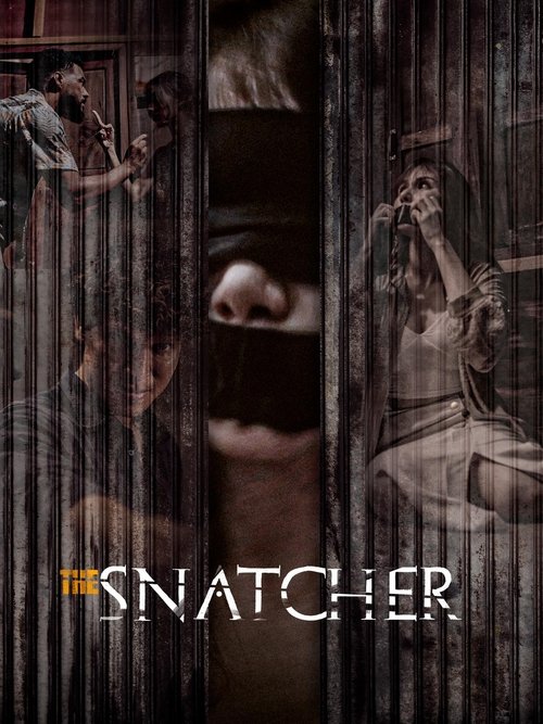 The Snatcher poster
