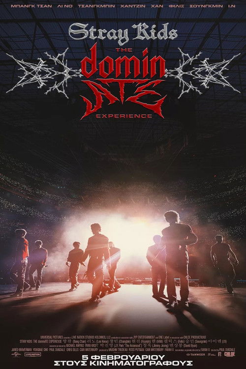Stray Kids: The dominATE Experience poster