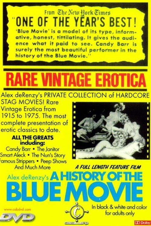 A History of the Blue Movie 1970