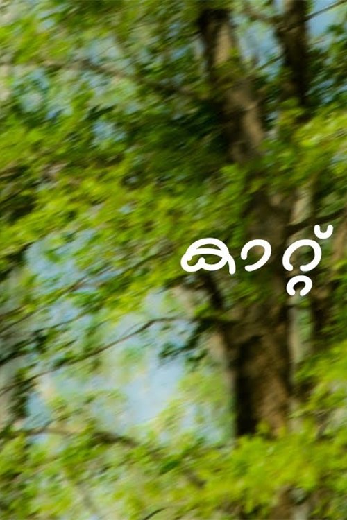 കാറ്റ്‌