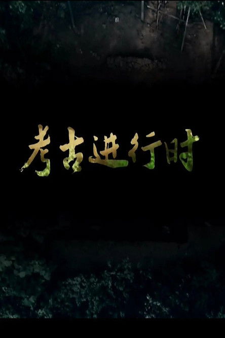 探索发现:2014考古进行时 (2014) poster