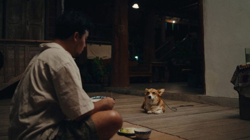 Missing Dog Backdrop Blur