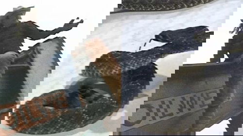 Image de l'épisode 7