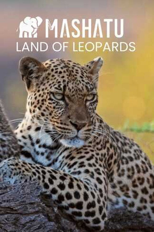 Mashatu, terre de léopards poster