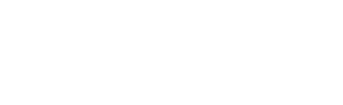 The Valet