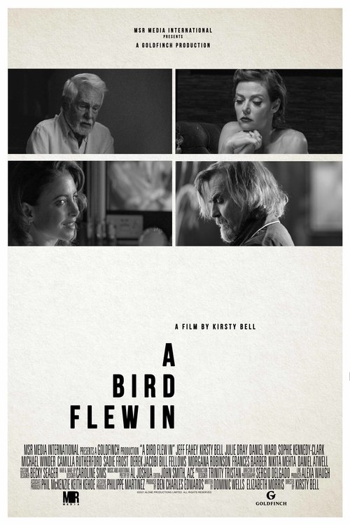 Poster 4