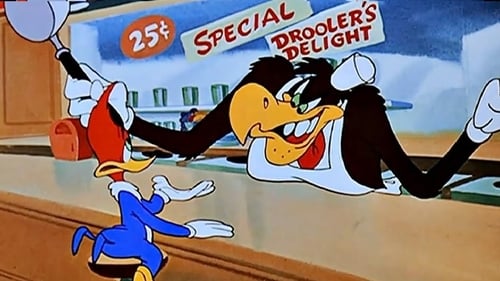 Poster della serie The Woody Woodpecker Show