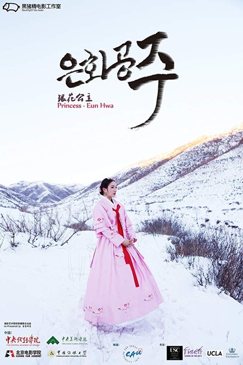 Princess Eun Hwa movie poster player