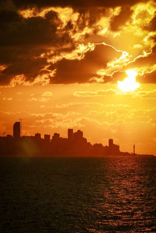 Beirut, mon amour