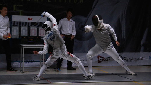 Fencing