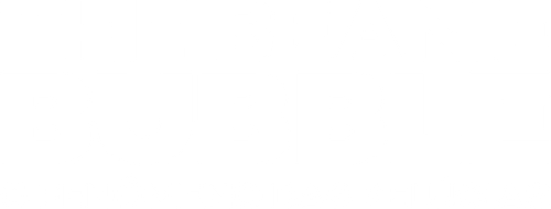 The Beanie Bubble - O Fenômeno das Pelúcias - Logo 3