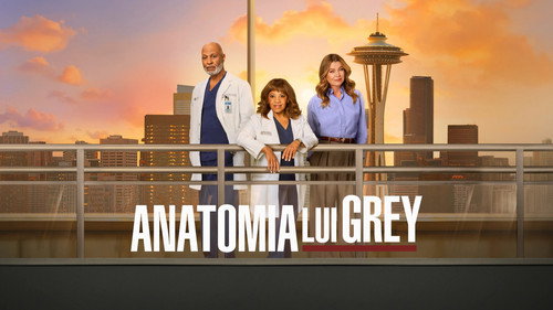 Grey's Anatomy