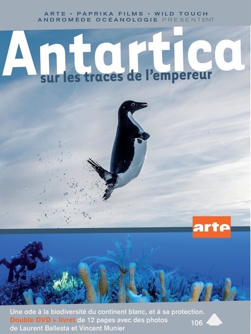 Antarctica, sur les traces de l'empereur 2016