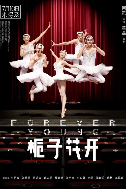 栀子花开 movie poster player