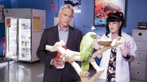 Poster della serie NCIS