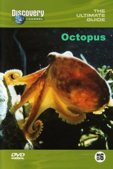 Escena 1 de The Ultimate Guide