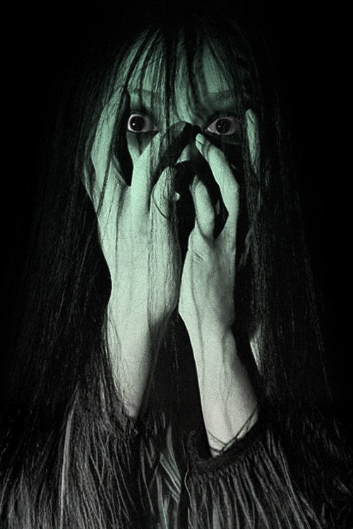 Pòster de The Grudge Collection