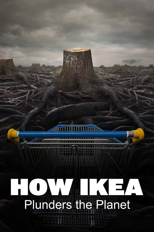 Poster Ikea, le seigneur des forêts 2024