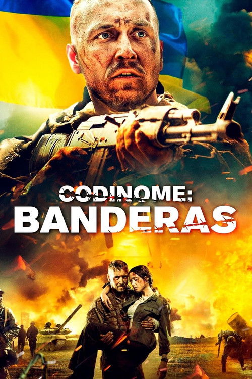 Call Sign "Banderas" poster