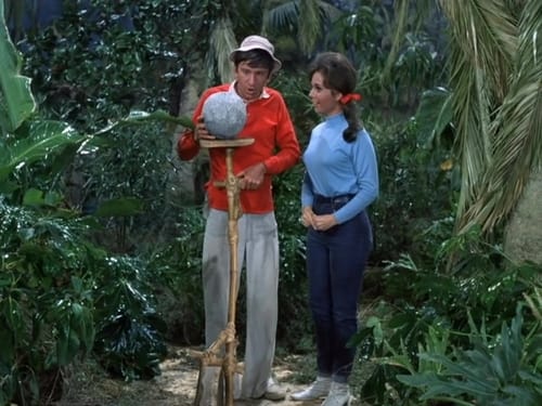 Poster della serie Gilligan's Island