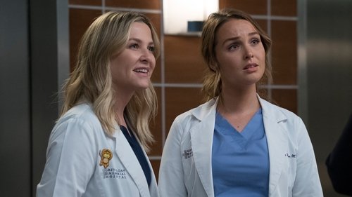 Grey’s Anatomy: 14×9